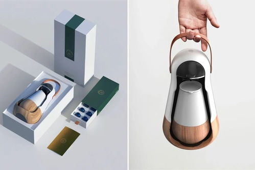 優(yōu)秀產(chǎn)品設(shè)計欣賞與制作 融合美學(xué)與實用性的藝術(shù)